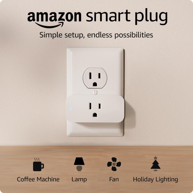 Amazon Smart Plug | Works with Alexa | Simple setup, endless possibilities