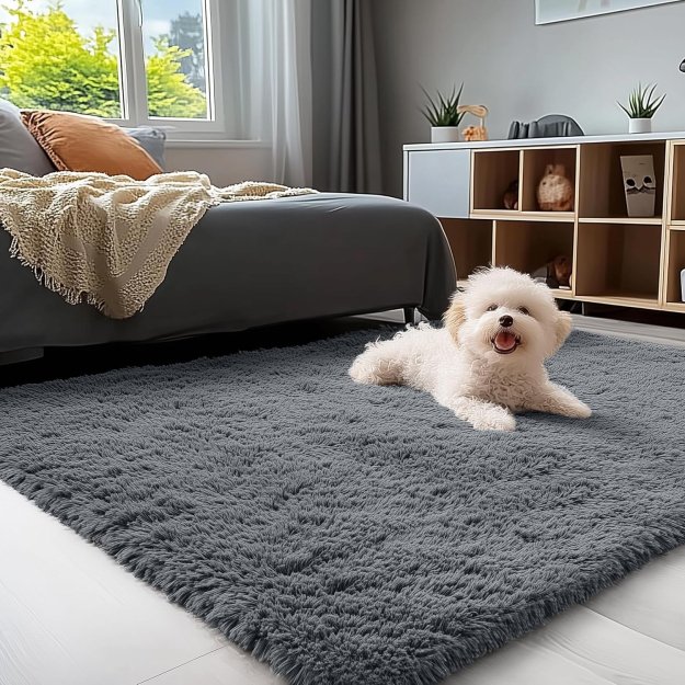 OLANLY Area Rugs for Living Room Bedroom, Machine Washable 4x5.9 Feet Soft Fluffy Shaggy Bedside Rug, Indoor Floor Carpet for Kids Girls and Boys, Dorms, Nursery Rooms, Home Decor Aesthetic, Grey